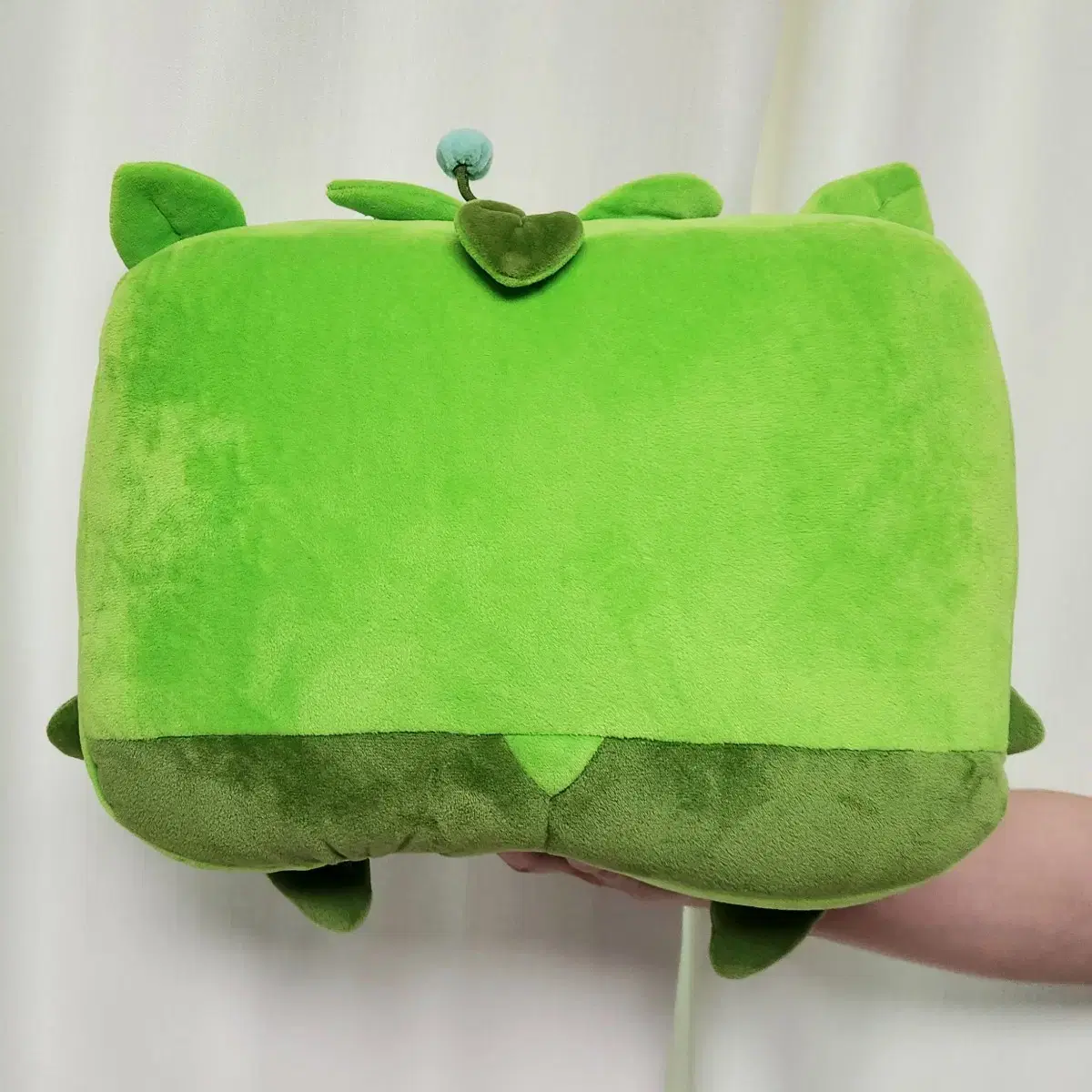 thumbnail-1